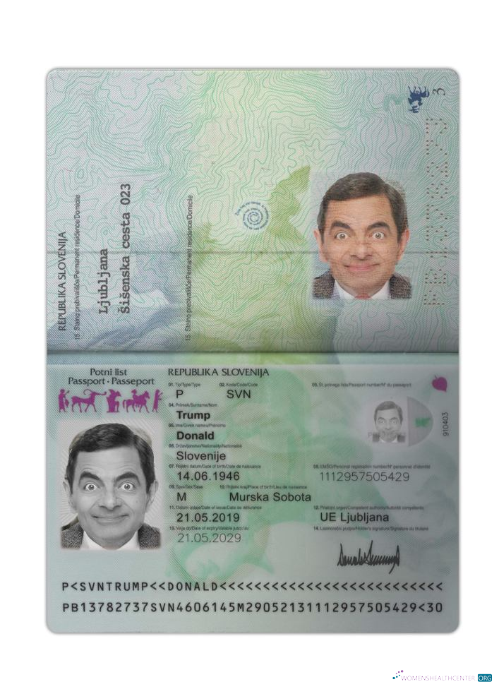 Download Slovenia passport 2019 present Photoshop template